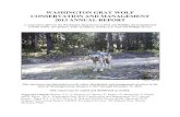 WASHINGTON GRAY WOLF CONSERVATION AND ... This report presents information on the status, distribution,