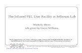 The Infrared FEL User Facility at Jefferson Lab · .triggers, video monitoring and recording. Continuous monitoring of laser performance - results available in .graphical or numerical