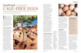 food issues CAGE-FREE EGGS - Happy Hens Farm€¦ · Words VIDYA BALACHANDER Photographs courtesy HAPPY HENS FARM cage-free eggs. While the Four Seasons Hotel in Mumbai and the Manor
