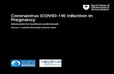 Coronavirus (COVID-19) Infection in Pregnancy€¦ · 09/03/2020  · Coronavirus (COVID-19) Infection in Pregnancy. 2 Table of contents Introduction 3-5 Advice for health professionals