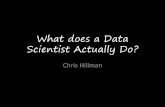 What does a Data Scientist Actually Do? › ~dell › teaching › cc › guest › CC_20131213... · 2013-12-18 · A better programmer than a statistician A better statistician