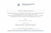 Biomedical applications of magnetic nanoparticles ...zaguan.unizar.es/record/7369/files/TESIS-2012-059.pdf · BIOMEDICAL APPLICATIONS OF MAGNETIC NANOPARTICLES: MAGNETIC HYPERTHERMIA