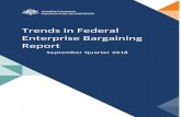 Trends in Federal Enterprise Bargaining report - …€¦ · Web viewContext for the Trends in Federal Enterprise Bargaining report data on wages growth in federally registered enterprise