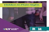 Hidden in Plain Sight - London Youth...becoming hidden. Hidden young people were found to be at risk in other ways, for example, subject to the influence of gang culture, drug use