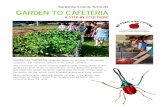 Sarasota County Schools GARDEN TO CAFETERIA › cms › lib... · Sarasota County Schools GARDEN TO CAFETERIA Garden to Cafeteria integrates hands-on learning in the garden classroom