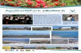 VOL 7 • NO 1 • December 2016 Happy Festive …2016/12/01  · VOL 7 • NO 1 • December2016 Happy Festive Season at the Southernmost Tip !! Agulhas National Park sweeps SANParks