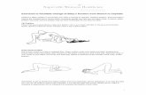 Exercises to Facilitate Change of Baby’s Position from ... · Exercises to Facilitate Change of Baby’s Position from Breech to Cephalic Please try either position to encourage