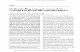 Understanding neuronal connectivity through the post ...genesdev.cshlp.org › content › 24 › 7 › 625.full.pdf · Understanding neuronal connectivity through the post-transcriptional