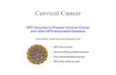 Cervical Cancer - Center for Cancer Research · cervical cancer not caused by HPV16/18. They don’t induce regression of established HPV infections or prevent progression of HPV-induced