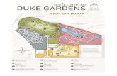 WHAT’S IN BLOOM - Duke Gardens · 2019-06-18 · WHAT’S IN BLOOM June 2, 2014 DORIS DUKE CENTER GARDENS Crinum ‘Carolina Beauty’ Crinum Gaura lindheimeri Gaura Hydrangea arborescens