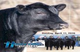 Sunday, April 17, 2016 - Justin Holt CattleJustin Holt Cattle Justin, Kali, Charlee & Cooper Holt Welcome and thank you for your interest in these great cattle. I would first like