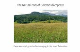 The Natural Park of Dolomiti d’Ampezzoec.europa.eu/environment/nature/natura2000/platform/documents/al… · The first haymaking is done between the end of June and early July,