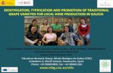 IDENTIFICATION, TYPIFICATION AND PROMOTION …ec.europa.eu/eip/agriculture/sites/agri-eip/files/pres08...IDENTIFICATION, TYPIFICATION AND PROMOTION OF TRADITIONAL GRAPE VARIETIES FOR