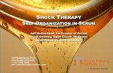 SHOCK THERAPY - PBworksagileconsortium.pbworks.com/f/Self Organization Shock... · 2009-01-01 · waterfall teams. It is linearly scalable across geographies to any size. • High