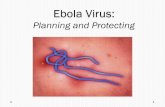 Ebola › presentations › Ebola - Final.pdfEbola History • Ebola Virus was first identified in 1976 near the Ebola River in the Democratic Republic of the Congo • Ebola is known