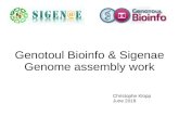 Genotoul Bioinfo & Sigenae Genome assembly workgenoweb.toulouse.inra.fr/.../Genotoul_Sigenae_genome_assembly_w… · 6 Why do biologists need good genome assemblies ? Because it is