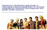 Indonesia’s challenges and needs in improving national ...httpAssets... · Problems with emerging and reemerging infectious diseases Most caused mainly by environmental, ecological