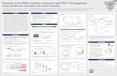Blockade of the PPARα metabolic checkpoint with TPST-1120 ... · receptor alpha (PPARα) is the principal transcription factor that regulates the expression of FAO genes, and this