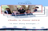 Challis In Focus 2016...Spelling Mastery Years 3-6 Spelling Mastery in streamed groups is being taught 4 x per week (from Week 3 Term 1 2018)) Signals, pace, proficiency with Engagement