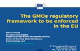 The GMOs regulatory framework to be enforced in …gmo-crl.jrc.ec.europa.eu/capacitybuilding/docsworkshops...The GMOs regulatory framework to be enforced in the EU Ilaria Ciabatti