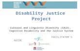 1disabilityjustice.edu.au/wp-content/uploads/2017/06/CAL…  · Web viewDisability Justice Project. Cultural and Linguistic Diversity (CALD), Cognitive Disability and the Justice