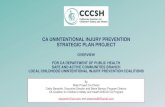 CA UNINTENTIONAL INJURY PREVENTION STRATEGIC PLAN … … · CA UNINTENTIONAL INJURY PREVENTION STRATEGIC PLAN PROJECT ... According to Center for Disease Control Injury Prevention