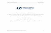 Unfair Commercial Practices - International and Comparative Law … · Lithuania 119 Malta 151 Poland 171 Slovak Republic 195 Slovenia 225 Questionnaire to national experts 241 ...