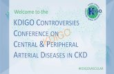 Welcome to the KDIGO CONTROVERSIES …...2020/02/04  · KDIGO staff, and I meet in the Tangley Room of the Hilton Paddington in London to plan 4 or 5 CVD/CKD Controversies Conferences