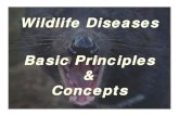 Wildlife Diseases Basic Principles Concepts › 2012 › 02 › wildlife... · Economics ¾Zoonotics $100’s M Rabies: > $300M / yr in US on detection, prevention, control SARS: