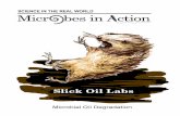 Science in the Real World - A.P. Environmental Science ...ogoapes.weebly.com › uploads › 3 › 2 › 3 › 9 › 3239894 › a_slick_oil_lab.pdfA Slick Oil Lab Introduction Over