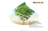 PLANTED TREES AND WATER RESOURCES - IBAiba.org/images/shared/Biblioteca/EN_Info_Agua_2018.pdfHOW TREES WORK Native and planted trees develop according to the same physiological mechanisms.