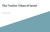 The Twelve Tribes of Israel - Craven County Schools · The Twelve Tribes of Israel Miss Genovese. Background God’s covenant with Abraham promising Canaan to Israelites Moses freed