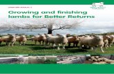 SHEEP BRP MANUAL 5 Growing and finishing …beefandlamb.ahdb.org.uk/wp-content/uploads/2015/12/BRP...This manual presents a range of options and ideas for growing and finishing lambs