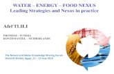 WATER – ENERGY – FOOD NEXUS · WATER – ENERGY – FOOD NEXUS Leading Strategies and Nexus in practice Afef TLILI PROMESS - TUNISIA BONTEMANTEL – NETHERLANDS The Nature and