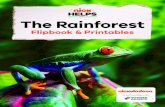 The Rainforest Flipbook & Printables - Amazon S3s3.amazonaws.com/.../2020/03/NickHelps-Rainforest-Flipbook_FINA… · The Rainforest Flipbook & Printables. in partnership with. Teacher