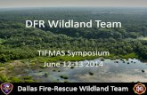 DFR Wildland Team - TICC Home Page€¦ · DFR Wildland Team TIFMAS Symposium June 12-13 2014. ... Firefighter Wildland Firefighter Wildland Firefighter Wildland Firefighter Strike