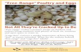 â€œFree-Rangeâ€‌ Poultry and Eggs - United Poultry Concerns â€œFree-Rangeâ€‌, â€œCage-Freeâ€‌ and â€œOrganicâ€‌