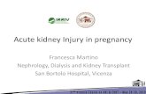 Acute kidney Injury in pregnancy€¦ · Hemodialysis for 5 days At 6° day Renal biopsy: ACUTE TUBULAR NECROSIS At 14° day : Normal renal function Obstet Gynecol 2002; 100:1119
