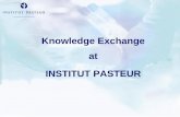 Knowledge Exchange at INSTITUT PASTEUR · Missions for DKE Identification, among Institut Pasteur's research, of results to be transferred for development to the industry, Identification