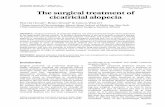 The surgical treatment of cicatricial alopeciainsanemedicine.com/wp-content/uploads/2015/11/The... · Surgical correction of cicatricial alopecia can yield exceptional results when
