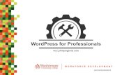 WordPress for Professionals - Philipwcc.philipingland.com/.../11/WP_For-Professionals... · wccnet.edu/ecd WHAT IS WORDPRESS Content Management System (CMS) WIX Shopify Joomla Godaddy