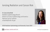 Ionizing Radiation and Cancer Risk...Thyroid Cancer in Children in Ukraine • Key source of information about long- term risk of thyroid cancer from I -131 • One of several studies