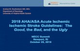 2018 AHA/ASA Acute Ischemic Ischemic Stroke Guidelines: Thethenecc.org › wp-content › uploads › 2018 › 11 › Southerland_Thursda… · 2018 AHA/ASA Acute Ischemic Ischemic