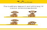 canine training methods The welfare impact and efficacy of · THE WELFARE IMPACT AND EFFICACY OF CANINE TRAINING METHODS 5 DOGS TRUST 4 3 The impact of bark activated shock or spray