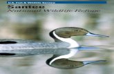 U.S. Fish & Wildlife Service Santee · falcon can be seen. From November through February migrating waterfowl such as mallards, ... brochure for additional details. We Recommend Visitors