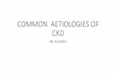 COMMON AETIOLOGIES OF CKD - bowenstaff.bowen.edu.ng · •Tubular interstitial fibrosis and tubular atrophy •Vasoactive factors, cytokines and proteinuria lead to this •Formation
