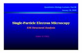 Single -Particle Electron Microscopy - Brandeis University › programs › quantbio › docs › chen3.pdf · Single -Particle Electron Microscopy EM Structural Analysis Quantitative