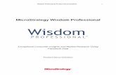 MicroStrategy Wisdom Professional - IT Weekly I. Overview MicroStrategy Wisdom Professional (Wisdom)