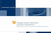 Support Vector Machines: a gentle introductionhome.deib.polimi.it/loiacono/uploads/Teaching/DMTM/DMTM... · 2012-06-13 · Support Vector Machines: a gentle introduction Data Mining