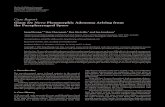 Giant De Novo Pleomorphic Adenoma Arising from the Parapharyngeal Space · 2016-01-26 · 2 CaseReportsinOtolaryngology (a) (b) Figure1:(a)Thesoftpalateisdisplacedanteromediallybytheparapharyngealmass.(b)Magneticresonanceimagingoftheparapharyngeal
